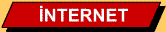 Internet Kursu